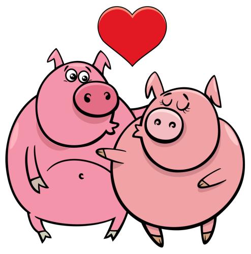 valentine card with pig characters in love
