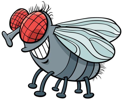 fly insect character cartoon illustration