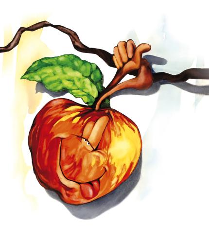funny apple on the tree branch